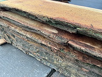 Acacia (0,531 m3) - afbeelding 10 van  10