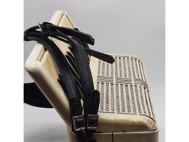 Accordeon, hohner, tango 11b - afbeelding 11 van  13