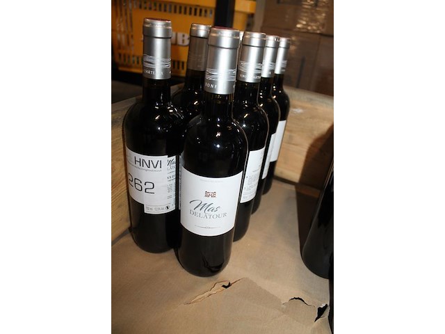 Acht flessen rode wijn mas delatour pays d'oc. - afbeelding 2 van  2