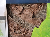 Achterwand 60x60, 2026 - afbeelding 2 van  3