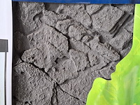 Achterwand 60x60, 2026 - afbeelding 2 van  3