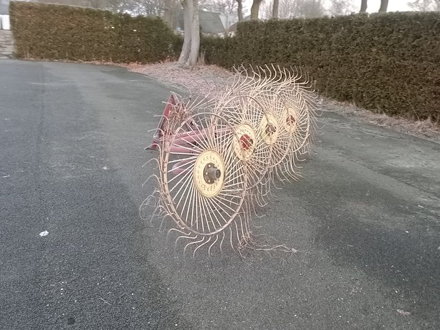 Acrobaat, mesocar - afbeelding 3 van  7