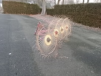 Acrobaat, mesocar - afbeelding 3 van  7