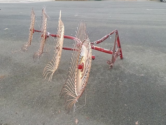 Acrobaat, mesocar - afbeelding 5 van  7