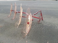 Acrobaat, mesocar - afbeelding 5 van  7