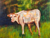 Acryl op doek, maya wildevuur, kalfje