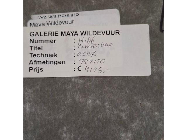 Acryl op doek, maya wildevuur, landschap, 2001 - afbeelding 8 van  8
