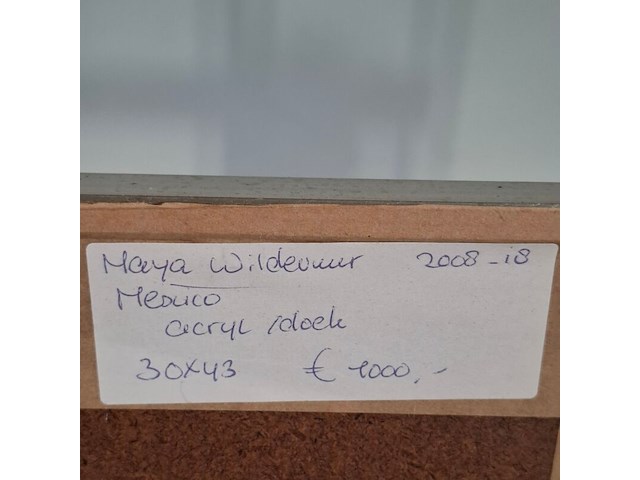 Acryl op doek, maya wildevuur, mexico, 1993 - afbeelding 8 van  8