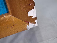 Acryl op doek, maya wildevuur, vis - afbeelding 4 van  9