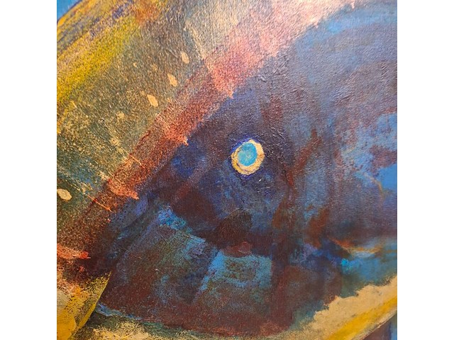 Acryl op doek, maya wildevuur, vis - afbeelding 7 van  9