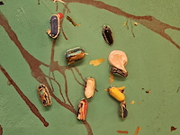 Acryl op doek schilderij, tonnie voorn - afbeelding 4 van  7