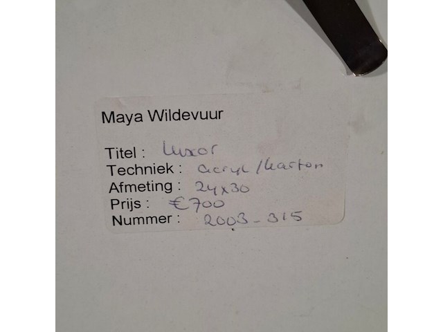 Acryl op karton, maya wildevuur, luxor, 1998 - afbeelding 8 van  8