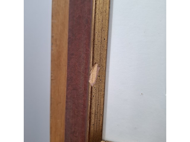 Acryl schilderij, maya wildevuur, 1998 - afbeelding 11 van  11