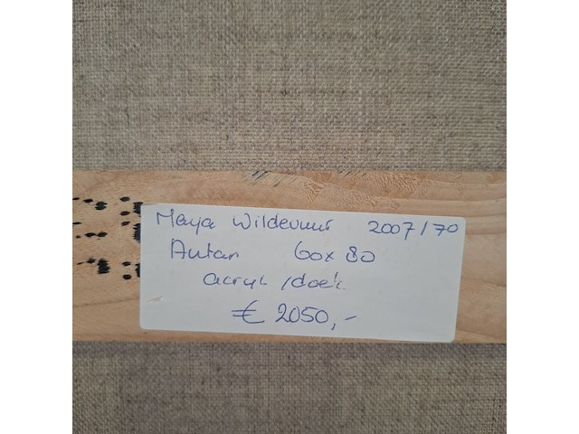 Acryl schilderij, maya wildevuur, autun, 2007 - afbeelding 7 van  7