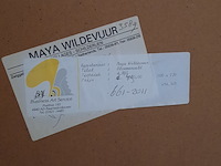 Acryl schilderij, maya wildevuur, bloemenveld, 1991 - afbeelding 8 van  8