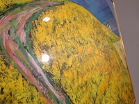 Acryl schilderij, maya wildevuur, bloemenveld, 1997 - afbeelding 7 van  10