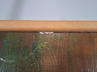 Acryl schilderij, maya wildevuur, familie tafereel - afbeelding 2 van  15