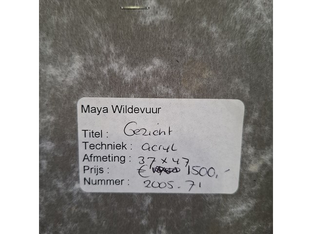 Acryl schilderij, maya wildevuur, gezicht - afbeelding 8 van  8