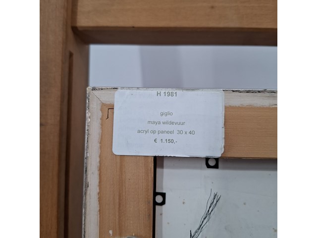 Acryl schilderij, maya wildevuur, giglio, 2004 - afbeelding 2 van  10