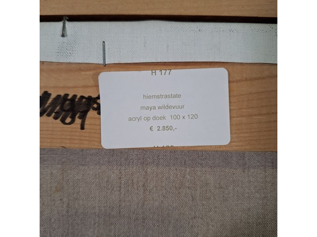 Acryl schilderij, maya wildevuur, hiemstrastrate , 1998 - afbeelding 9 van  9