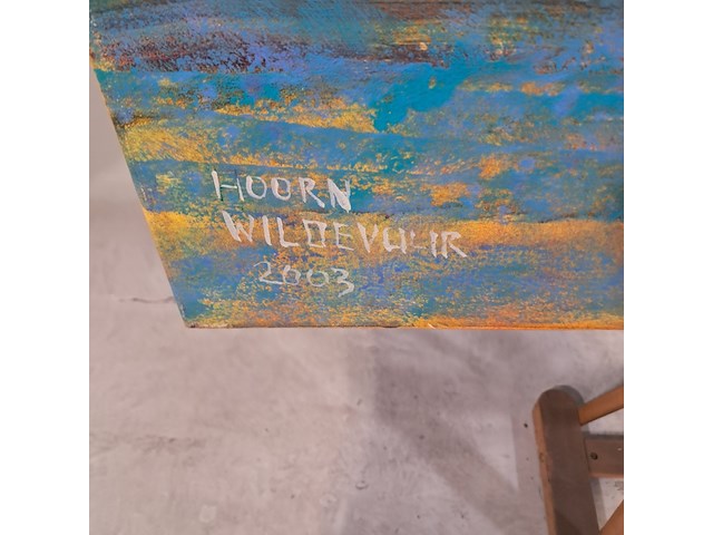 Acryl schilderij, maya wildevuur, hoorn, 2003 - afbeelding 5 van  9