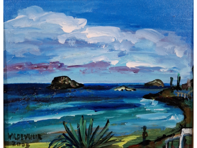 Acryl schilderij, maya wildevuur, ibiza - afbeelding 1 van  8