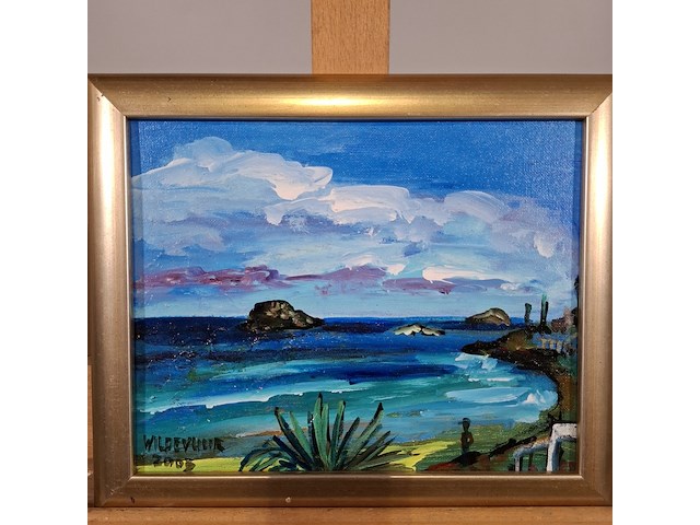 Acryl schilderij, maya wildevuur, ibiza - afbeelding 3 van  8