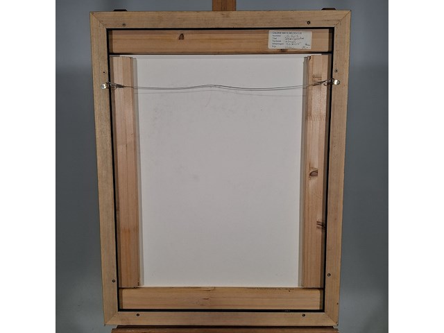 Acryl schilderij, maya wildevuur, ilfracombe, 2012 - afbeelding 3 van  12