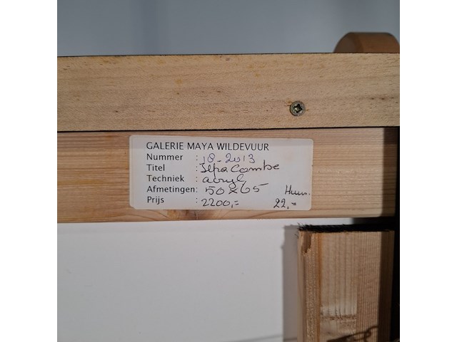 Acryl schilderij, maya wildevuur, ilfracombe, 2012 - afbeelding 4 van  12