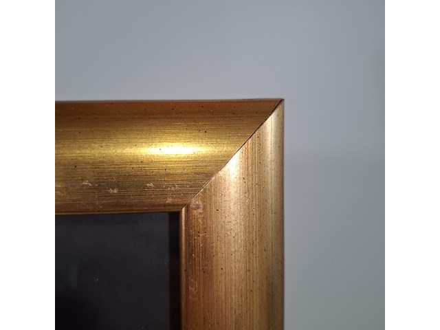 Acryl schilderij, maya wildevuur, jouselmer india - afbeelding 7 van  9