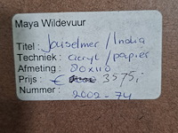 Acryl schilderij, maya wildevuur, jouselmer india - afbeelding 9 van  9
