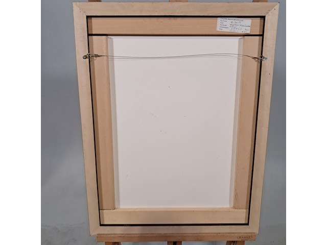 Acryl schilderij, maya wildevuur, kapitein, 2012 - afbeelding 8 van  9