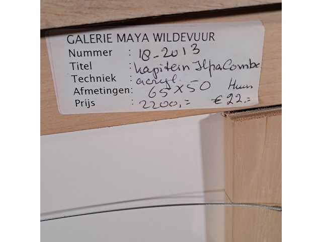 Acryl schilderij, maya wildevuur, kapitein, 2012 - afbeelding 9 van  9