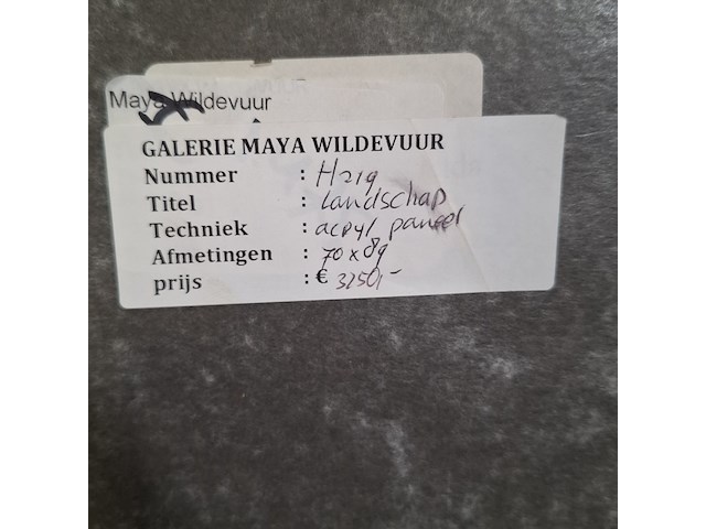 Acryl schilderij, maya wildevuur, landschap, 1991 - afbeelding 9 van  9