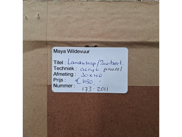 Acryl schilderij, maya wildevuur, landschap, 1993 - afbeelding 2 van  10