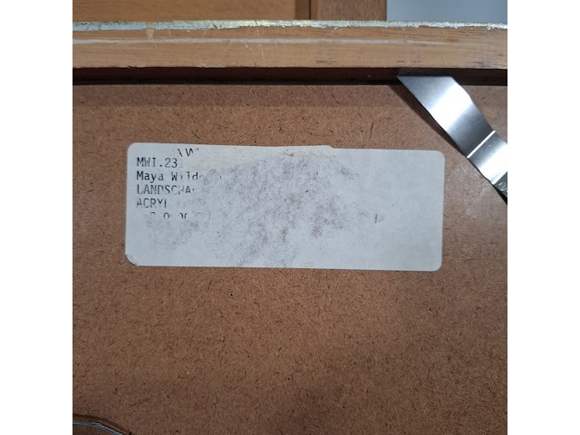 Acryl schilderij, maya wildevuur, landschap, 1996 - afbeelding 2 van  11