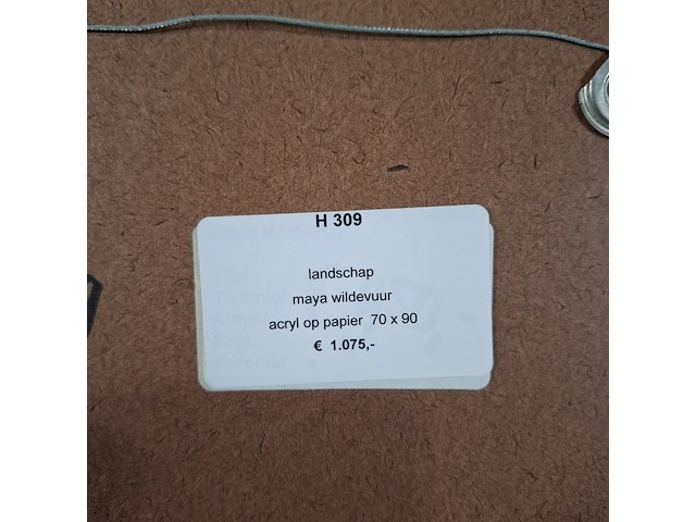 Acryl schilderij, maya wildevuur, landschap, 2000 - afbeelding 5 van  9