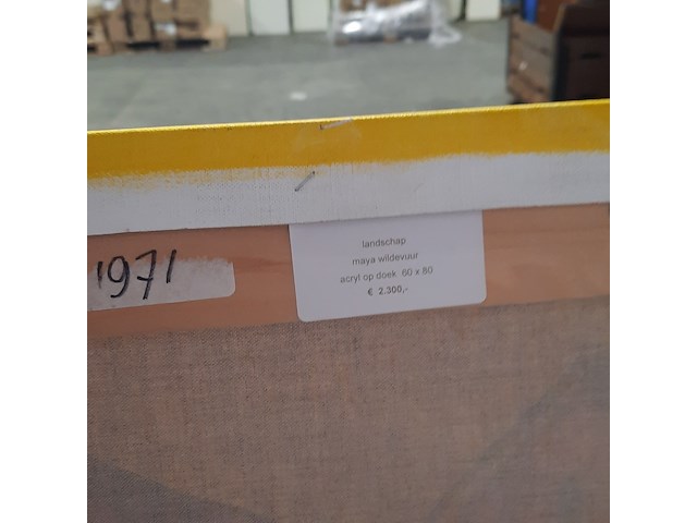 Acryl schilderij, maya wildevuur, landschap, 2004 - afbeelding 9 van  9