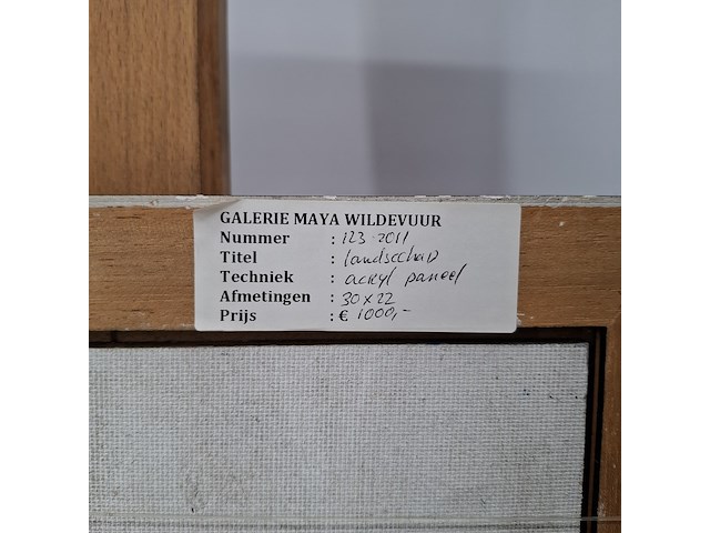 Acryl schilderij, maya wildevuur, landschap - afbeelding 8 van  8