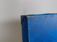 Acryl schilderij, maya wildevuur, landweg, 2001 - afbeelding 8 van  9