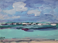 Acryl schilderij, maya wildevuur, mexico, 2008 - afbeelding 1 van  9