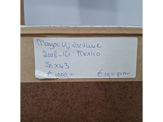 Acryl schilderij, maya wildevuur, mexico, 2008 - afbeelding 9 van  9