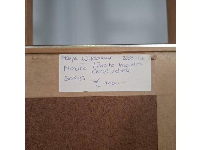 Acryl schilderij, maya wildevuur, puerte moreles, mexico, 2007 - afbeelding 2 van  10