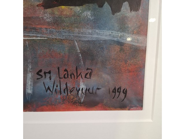 Acryl schilderij, maya wildevuur, sir lanka, 1999 - afbeelding 5 van  8