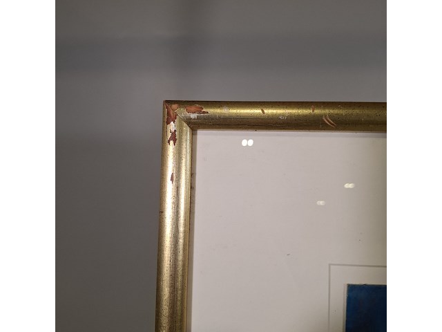 Acryl schilderij, maya wildevuur, sir lanka, 1999 - afbeelding 6 van  8