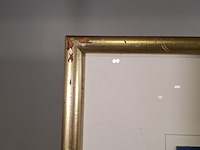 Acryl schilderij, maya wildevuur, sir lanka, 1999 - afbeelding 6 van  8