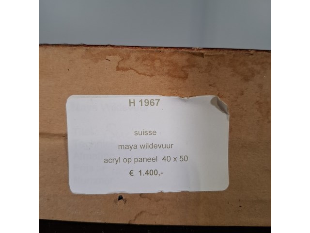 Acryl schilderij, maya wildevuur, suisse - afbeelding 8 van  9