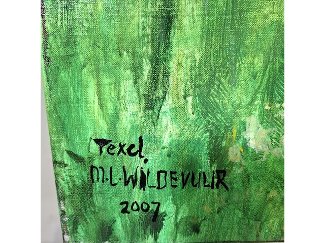 Acryl schilderij, maya wildevuur, texel, 2007 - afbeelding 4 van  7