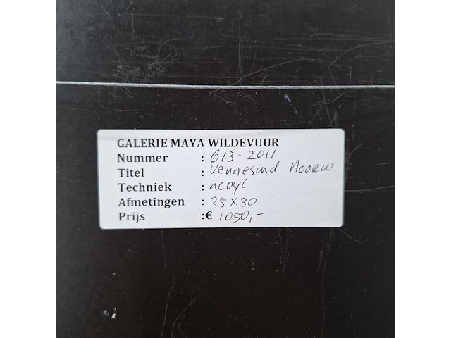 Acryl schilderij, maya wildevuur, vennesand - afbeelding 2 van  10