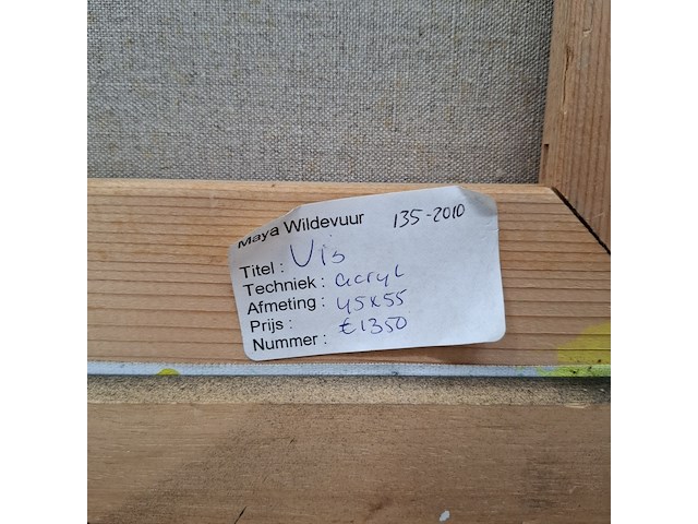 Acryl schilderij, maya wildevuur, vis - afbeelding 5 van  13